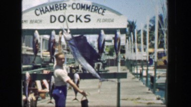 1947: Chamber of Commerce Docks Sportfishing Trophy Sailfish Marlin Tuna Catch