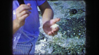 1944: Man Observing Hermit Crab Walking on Seashell at Beach