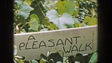 1956: A pleasant walk sign mother son hiking trail wooded forest bridge.