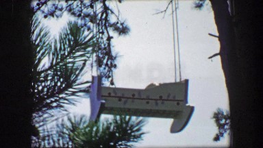 1955: Storyland theme park Rock-a-bye Baby crib hanging from pine tree.