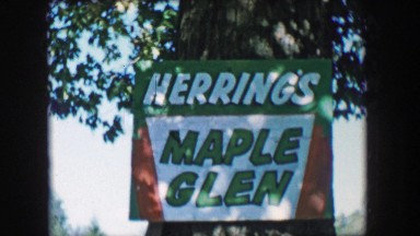 1957: Herring's Maple Glen sign historic old growth syrup tree orchard.