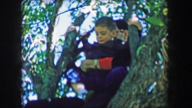 1957: Brothers climb tree together looking down happy summertime fun.