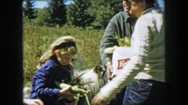 1957: Grandpa holding Knickerbocker beer box corn ears picked autumn harvest.