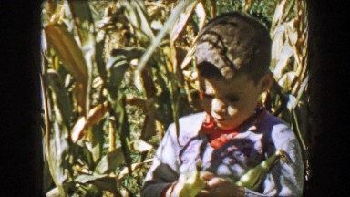 1957: Cute boy corn harvest peeling ears in family farm fields.