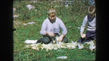 1957: Sibling feeding chickens freshly picked ears of corn from the farm.