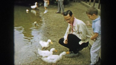 1957: Father and Son feeding geese at the lake