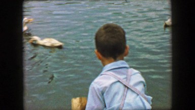 1957: Young dapper lad feeding ducks in small residential wetland pond. GLEN,