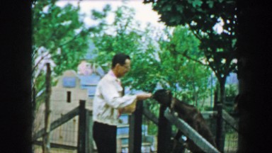 1957: Wacky ham showboat dad stylishly feeding farm goat behind fence. GLEN, NEW