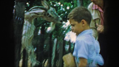 1957: Father son petting zoo pulling on goat horns touching animals. GLEN, NEW