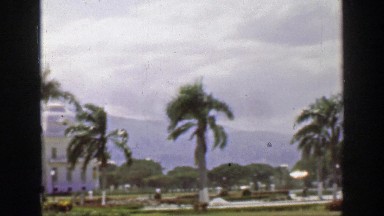 1957: Windy Storm Caribbean Tropical Mountainous Terrain Palm Tree Royal