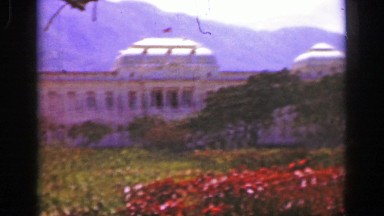 1957: Caribbean Tropical Palm Tree Royal Government Civic Wealthy Powerful