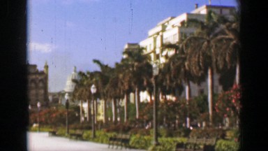 1957: Tropical paradise golf course palm tree laden green grass luxury. BATON