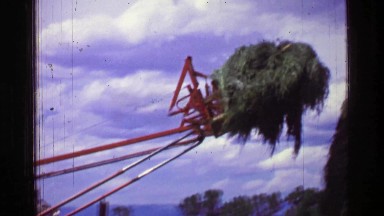 1957: Tractor moving haystack long armed farming machine building high pile.