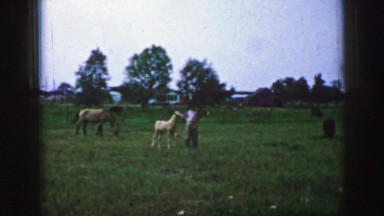 1961: a person is seen feeding a horse and walking with it IOWA