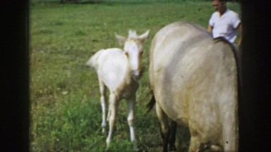 1961: a bright and wonderful day to hangout around the farm before the sunsets