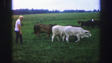 1961: a person is seen petting in his farm IOWA