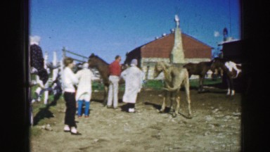 1961: people standing near horses on a farm IOWA
