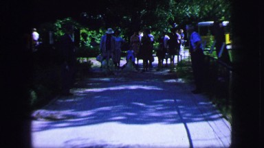 1963: crowd watching the penguins strolling down the sidewalk. FRANCE