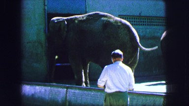 1963: an elephant is seen and a person is seen viewing it FRANCE