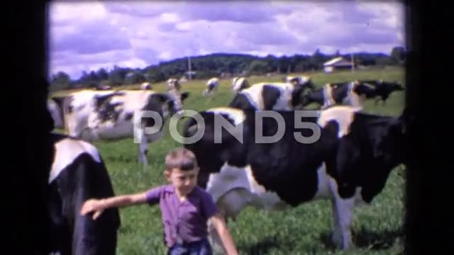 1963: Vintage Car Driving Down Dirt Road in France