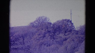 1958: Picturesque Landscape with Animals Moving Through Nebraska