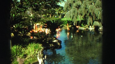 1969: natural and calming water scene of trees and vibrant landscaping RENO,