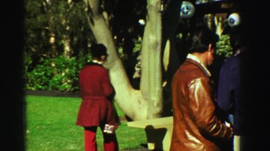 1969: family and friends enjoy a beautiful day walking around the trees in the