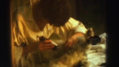 1969: young man grooming dog RENO, NEVADA