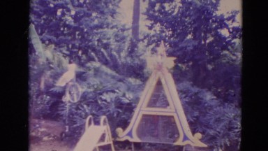 1974: bird on a bicycle on a tightrope WALT DISNEY WORLD, FLORIDA