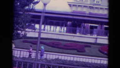 1974: a scene showing a flower pattern which looks amazing