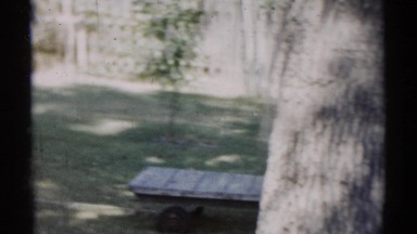 1959: the scene shows a grandmother overlooking her grandsons