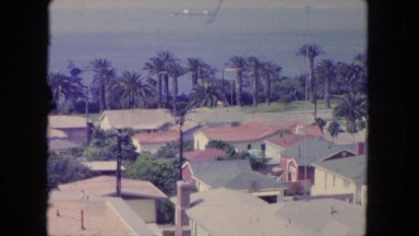 1962: Beach Scene with Palm Trees and Coastal Homes in San Pedro, California