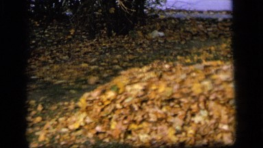 1964: a child hiding in the leaves CAMDEN, NEW JERSEY