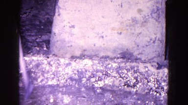 1967: bath time for birdy in cement water fountain filled with clear water