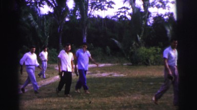 1979: walk in the park