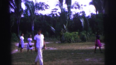 1979: a forest area is seen