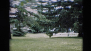 1951: the person at the end WILLMAR, KENTUCKY