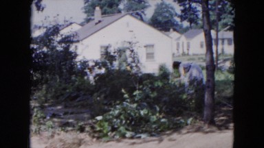 1954: woman clears limbs while laundry blows in the wind HICKSVILLE, NEW YORK