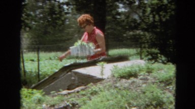 1968: a thirsty dog drinking from a jet of water coming from a hose