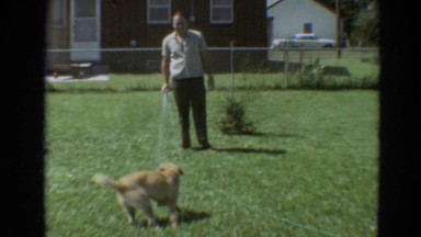 1968: dogs plays with water SILVER CITY, NEVADA
