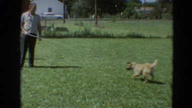 1968: a dog is seen jumping SILVER CITY, NEVADA