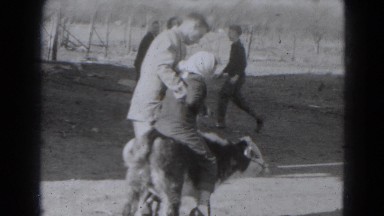 1947: the video shows a man trying to put his daughter to sit on a animal