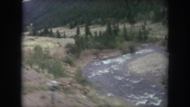 1962: A Car View of a Forest Area Passing in Colorado