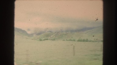 1962: hills and cows gathered into corrals COLORADO