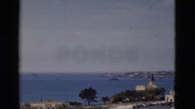 1948: A Coastal View and Park Scene with Flowers and Palm Trees