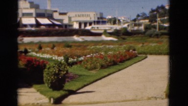 1948: A Park Scene with Beautiful Flowers and Grass Area in Portugal