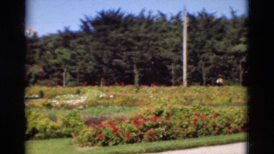 1948: A Beautiful Garden with Lamp Post and Trees in Portugal
