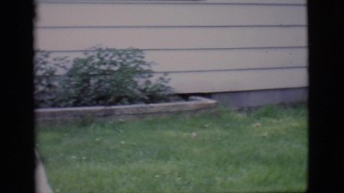 1966: A small home garden is seen.CLARKDALE, ARIZONA