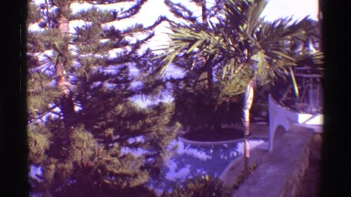 1971: Coastal area with trees is seen.HAWAII