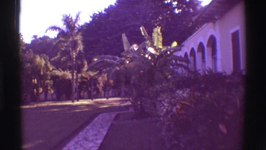 1971: mid-century home video of a tropical back garden.HAWAII